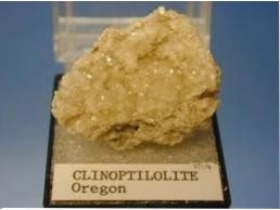Clinoptilolite Zeolites